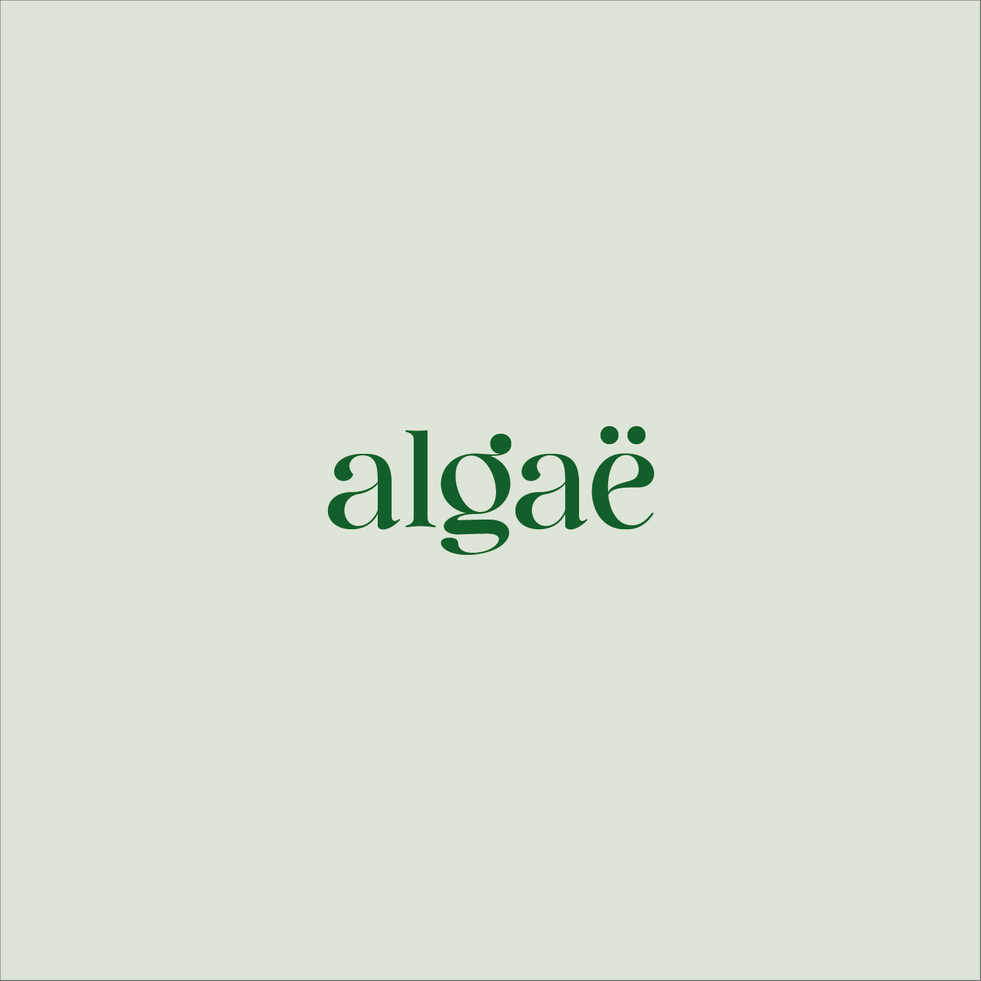Algaë